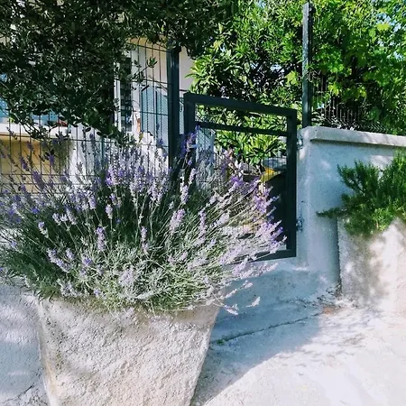 Apartman Rosan Pakostane